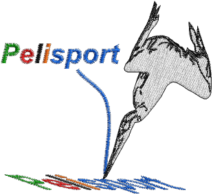 PELISPORT - partner klubu