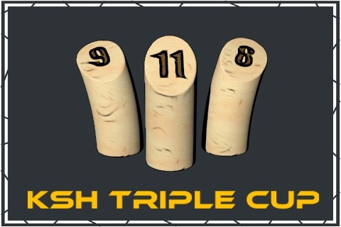 triple cup 1.jpg